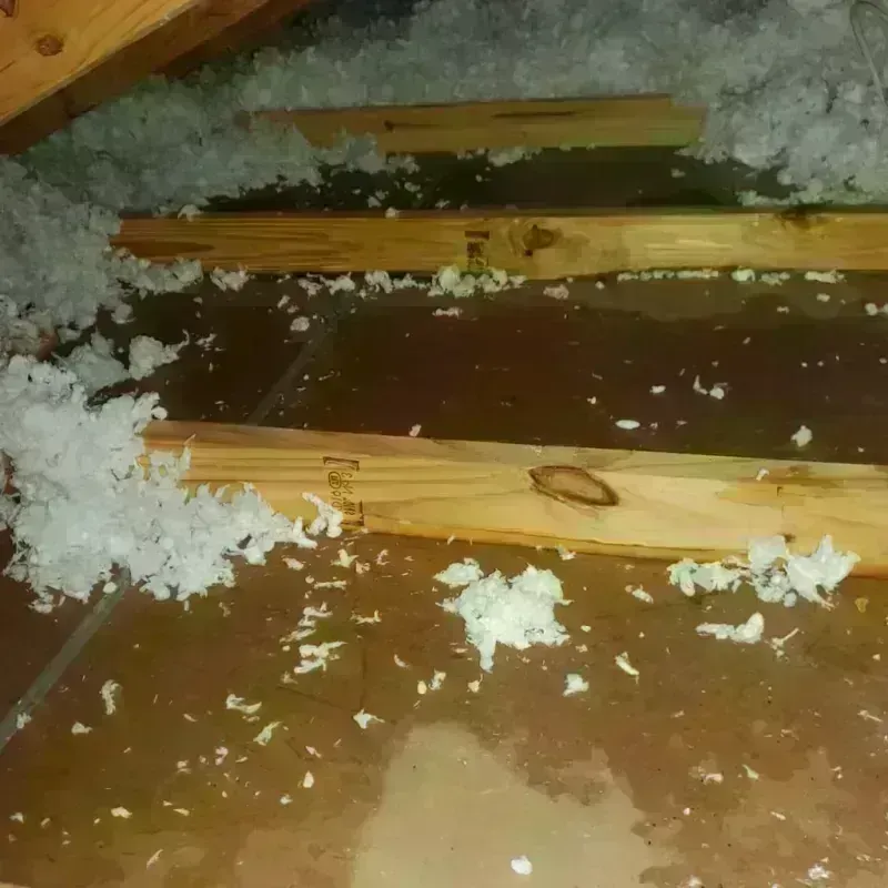 Attic Water Damage in New Brighton, PA